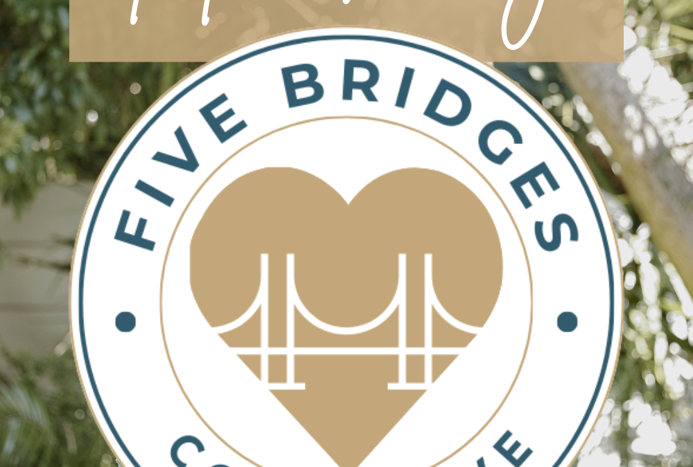 Introducing 5 Bridges Collective