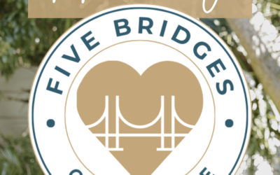 Introducing 5 Bridges Collective